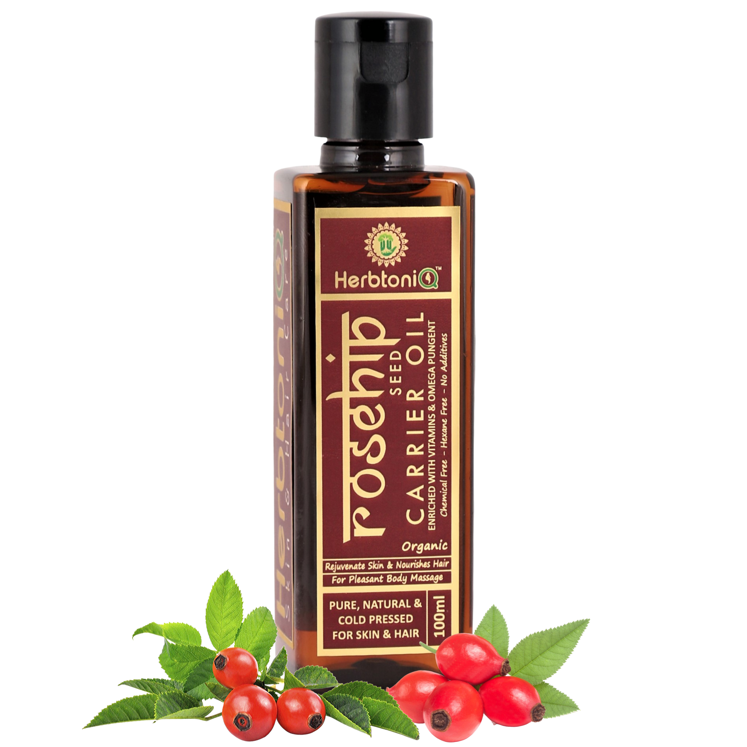rosehip5