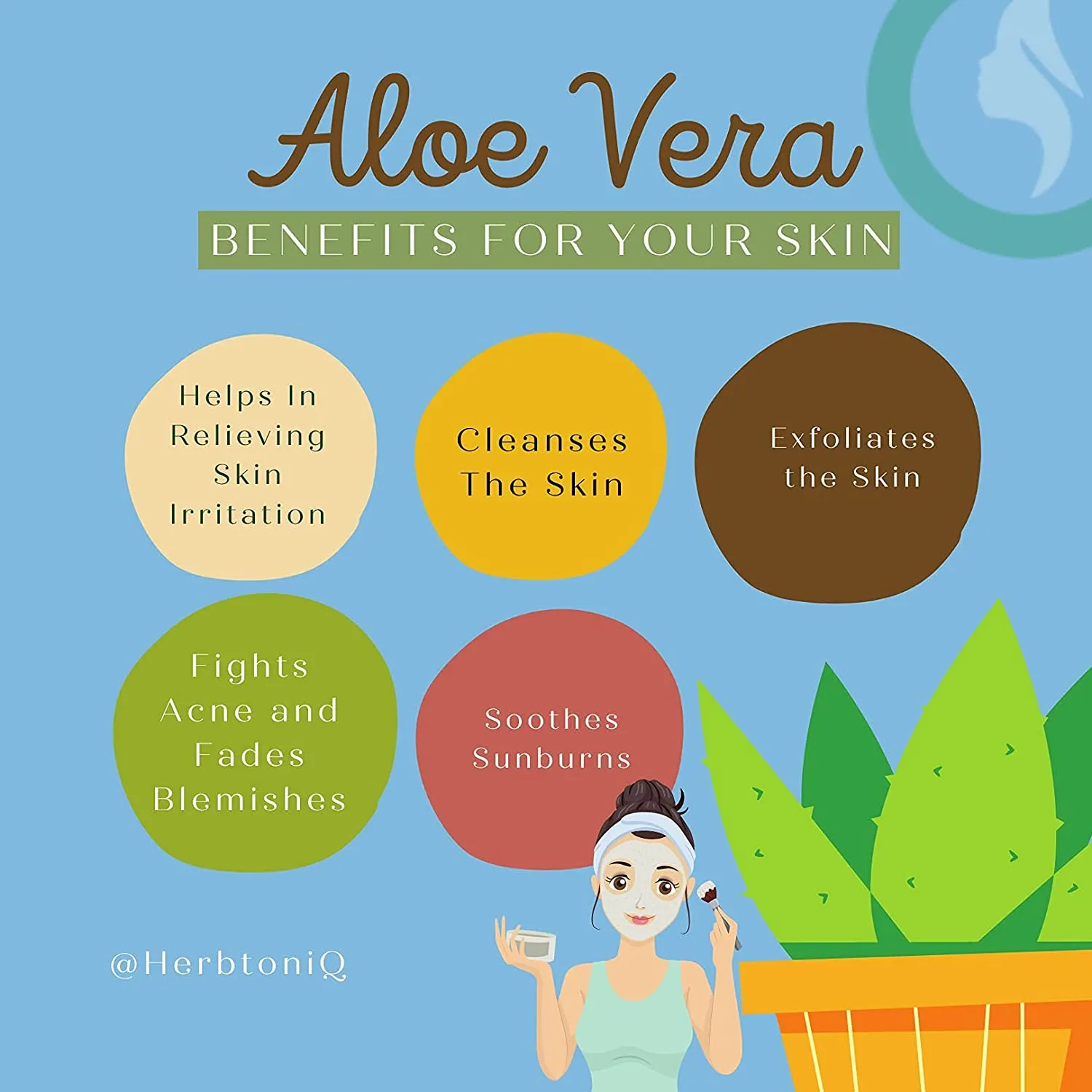 Aloevera Powder 2