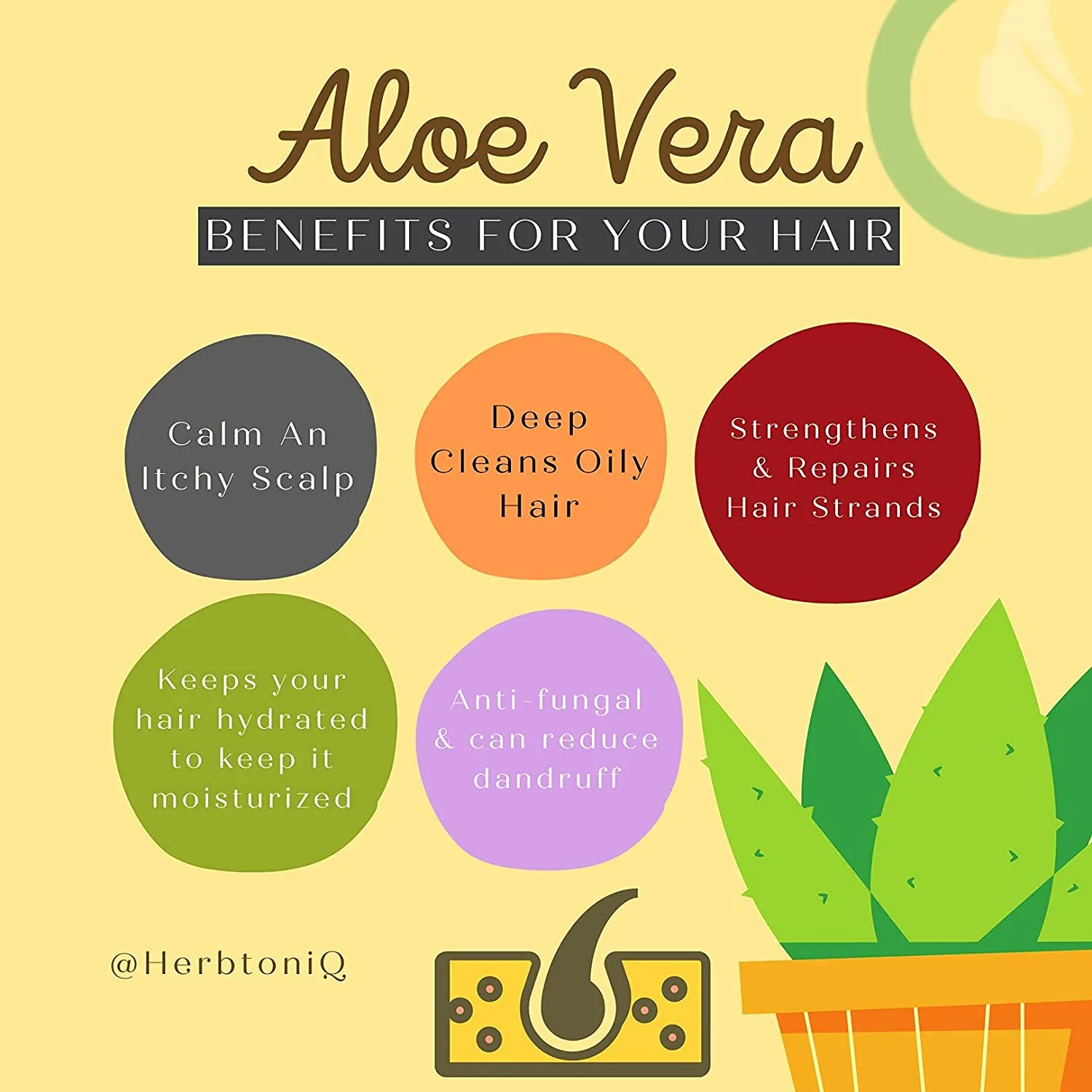 Aloevera Powder 3