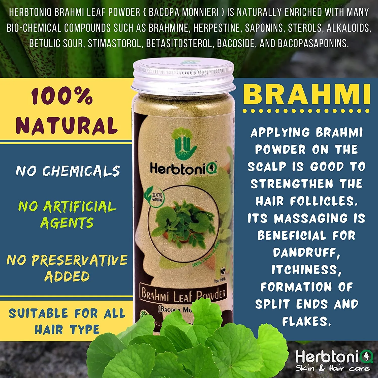 Brahmi 1