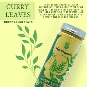 HerbtoniQ 100% Natural Curry Leaves, Onion, Baheda and Bhringraj Leaf Powder for Dandruff, Frizzy Hair, Damaged Hair, Intensive Hair Care Pack (600 Gram)